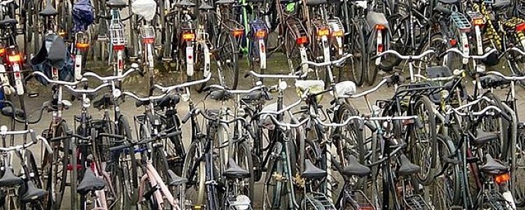 День велосипедиста в Амстердаме