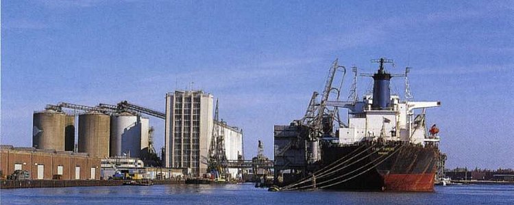 Промышленность Амстердама Промышленность Амстердама