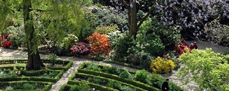 Хортус Ботаникус Амстердам - ботанический сад в Амстердаме Хортус Ботаникус Амстердам - ботанический сад в Амстердаме