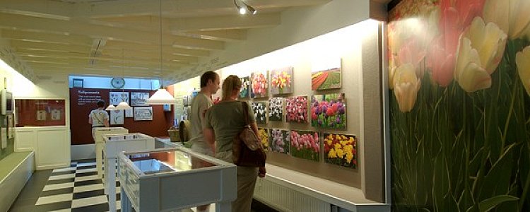 Музей тюльпанов в Амстердаме