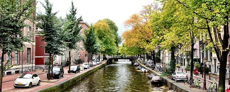 Сколько стоит один день в Амстердаме