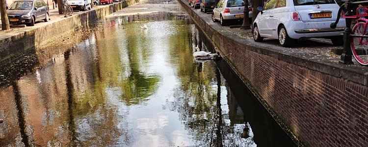 Канал Ахтербургвал в Амстердаме Канал Ахтербургвал в Амстердаме