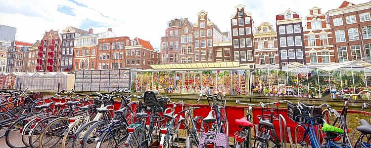 Как добраться из Одессы в Амстердам