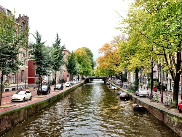 сколько в амстердаме стоит конопля